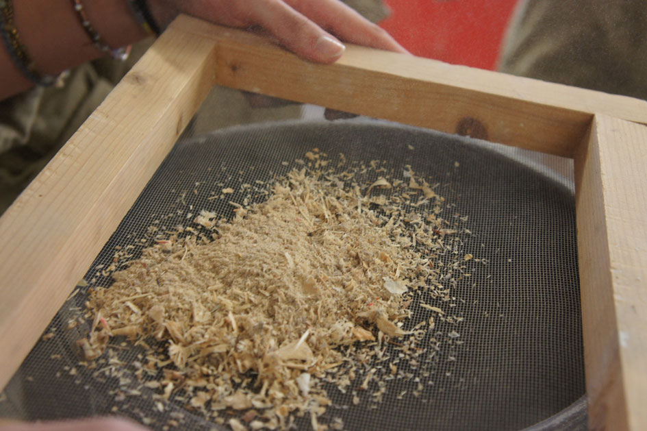 sawdust03.jpg