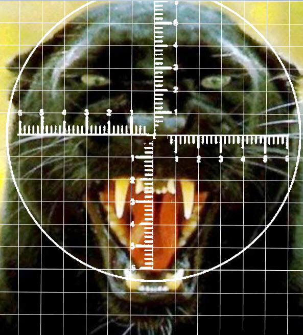 scaled 2.jpg