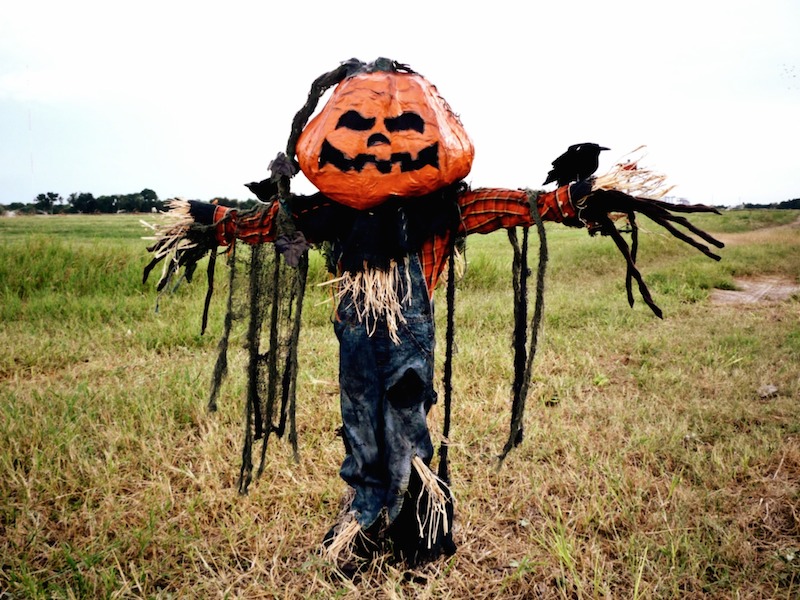 scarecrow front.jpg