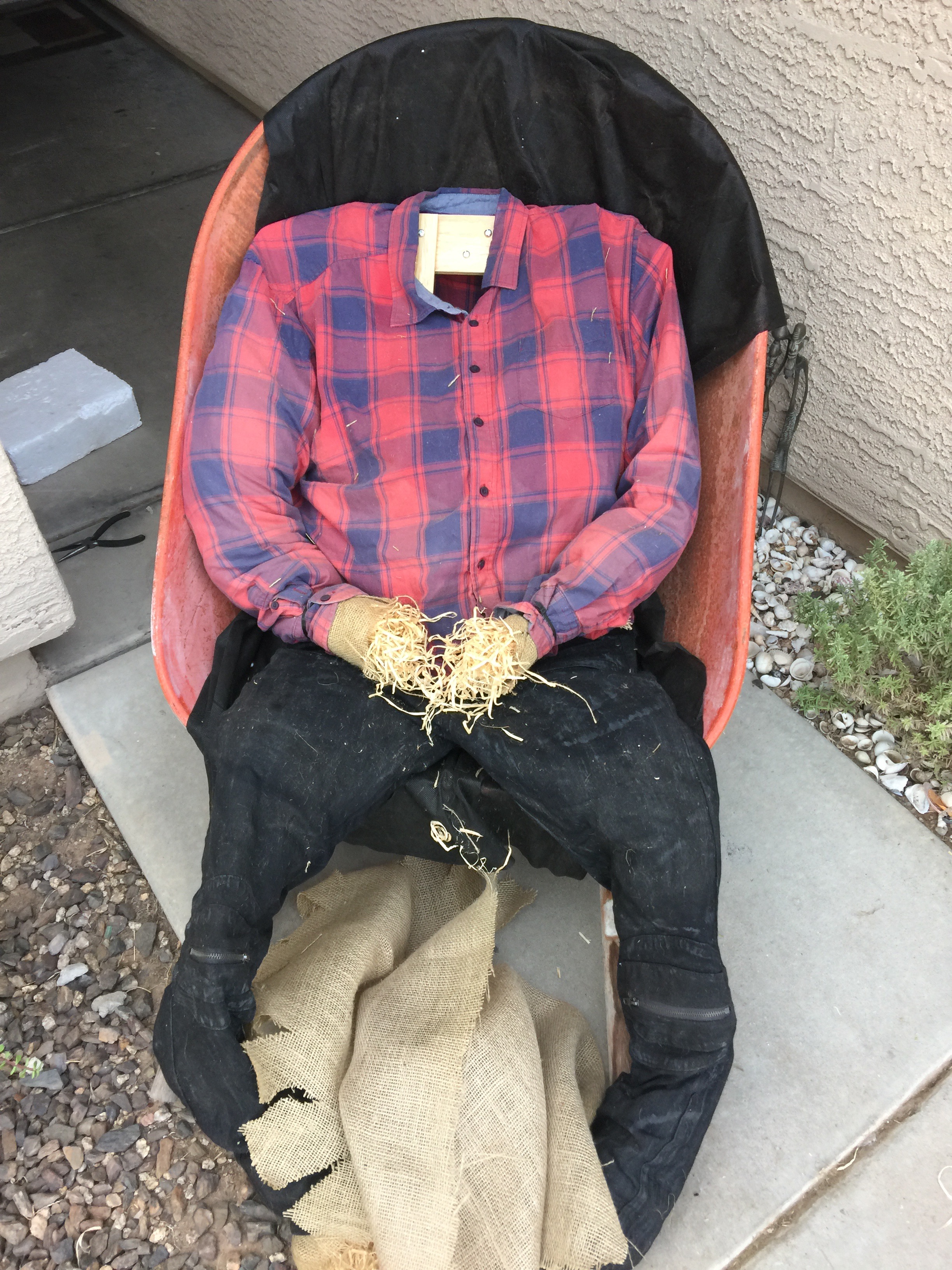 scarecrow without head.jpg