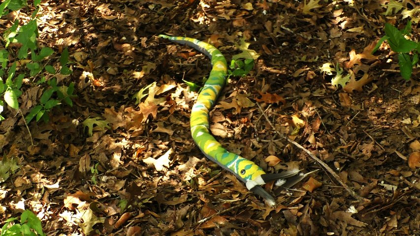 scarecrow_snake_on_ground_16_9_instructables.jpg