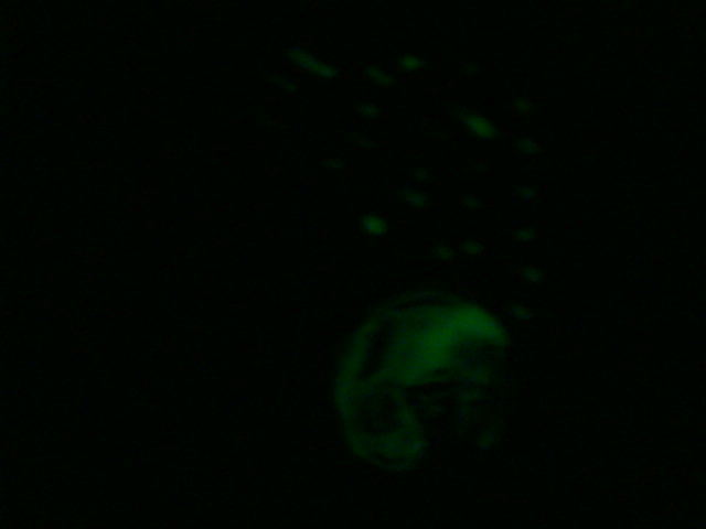 scented glow in the dark 015.JPG