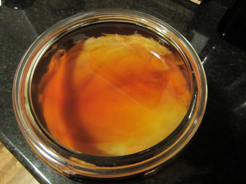 scoby_1.jpg