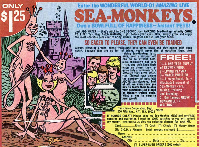 sea-monkeys.jpg