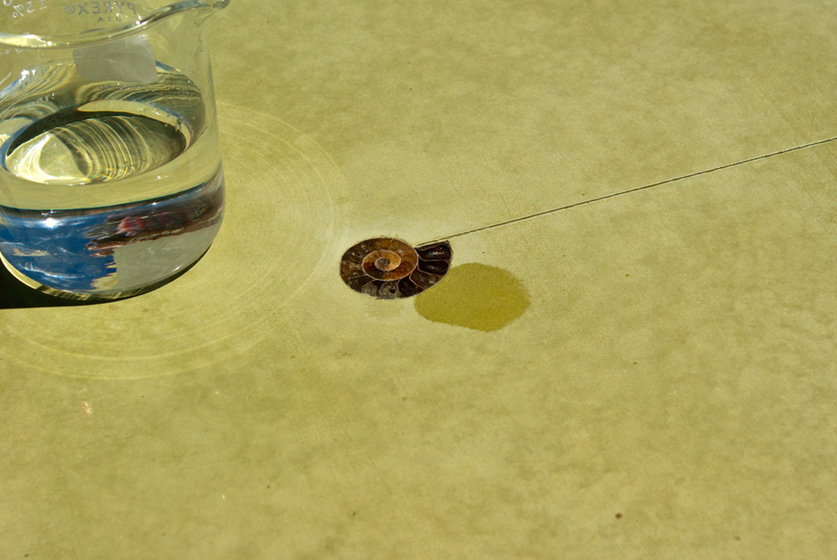 sealer_step5_waterdrop2.jpg