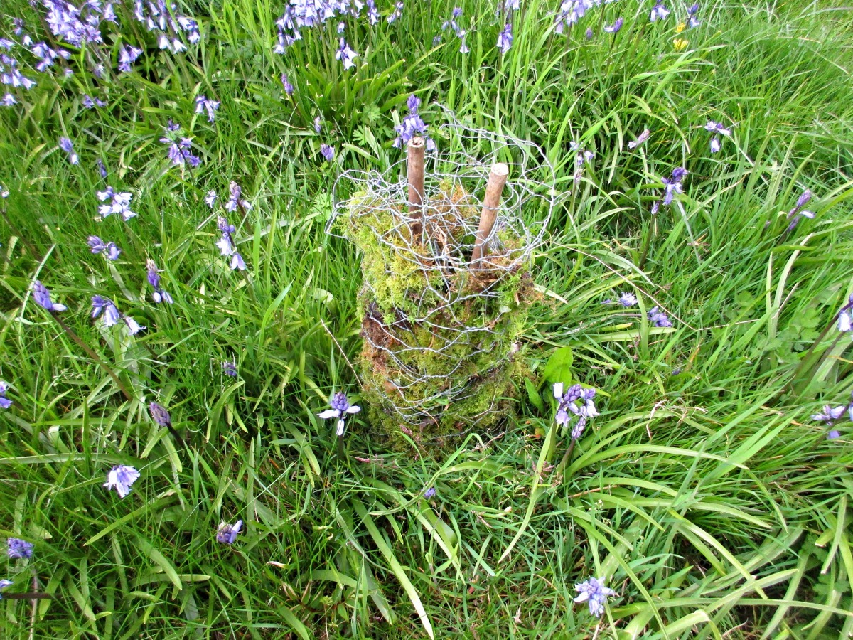 securing moss toadstool stem into ground.jpg