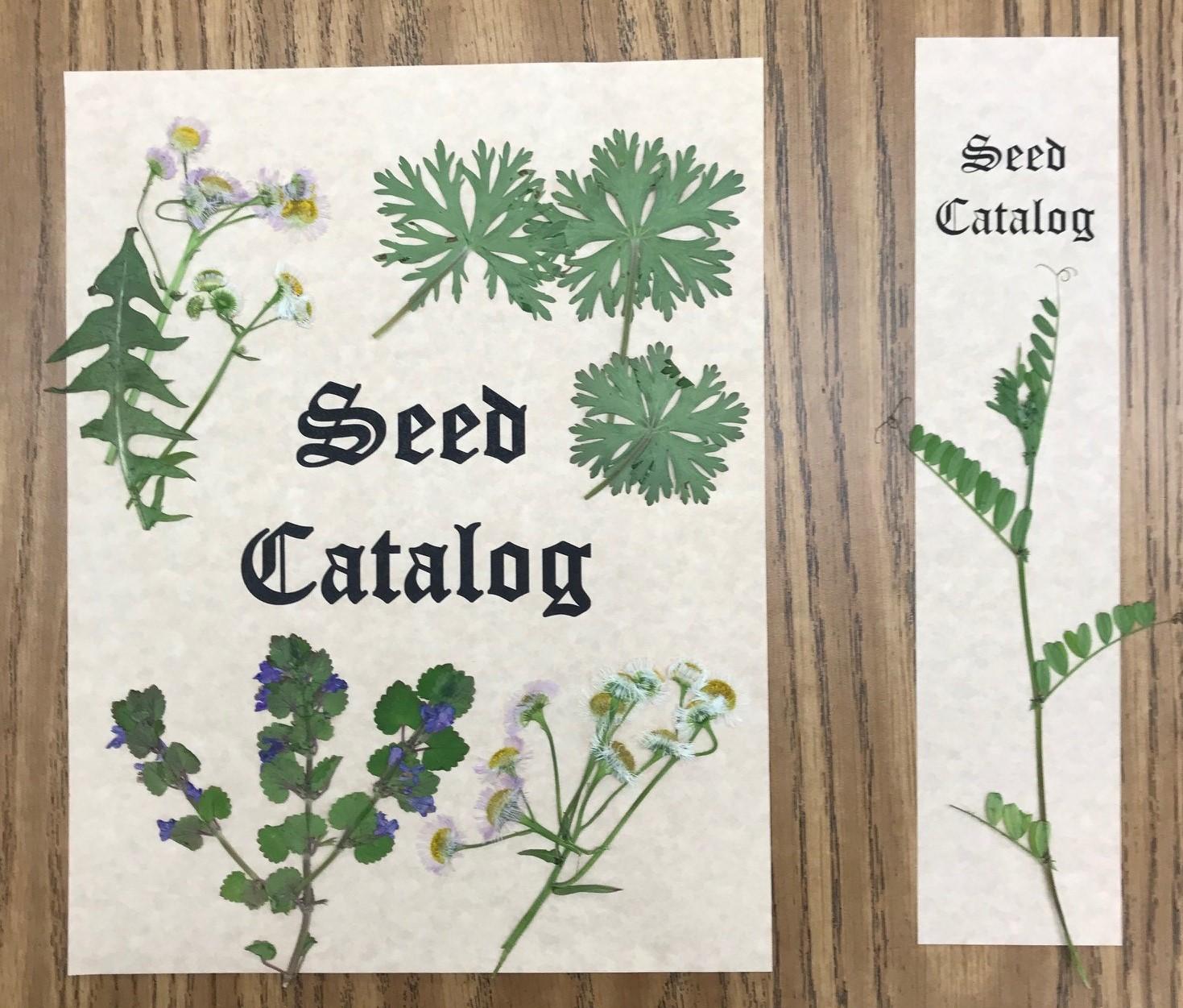 seed catalog design layout.jpg