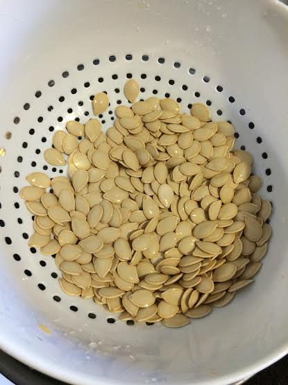 seeds3.jpg