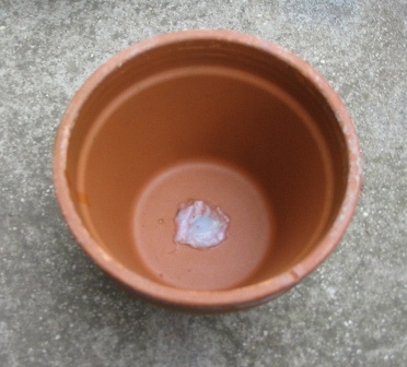 self-watering-tray_04.jpg