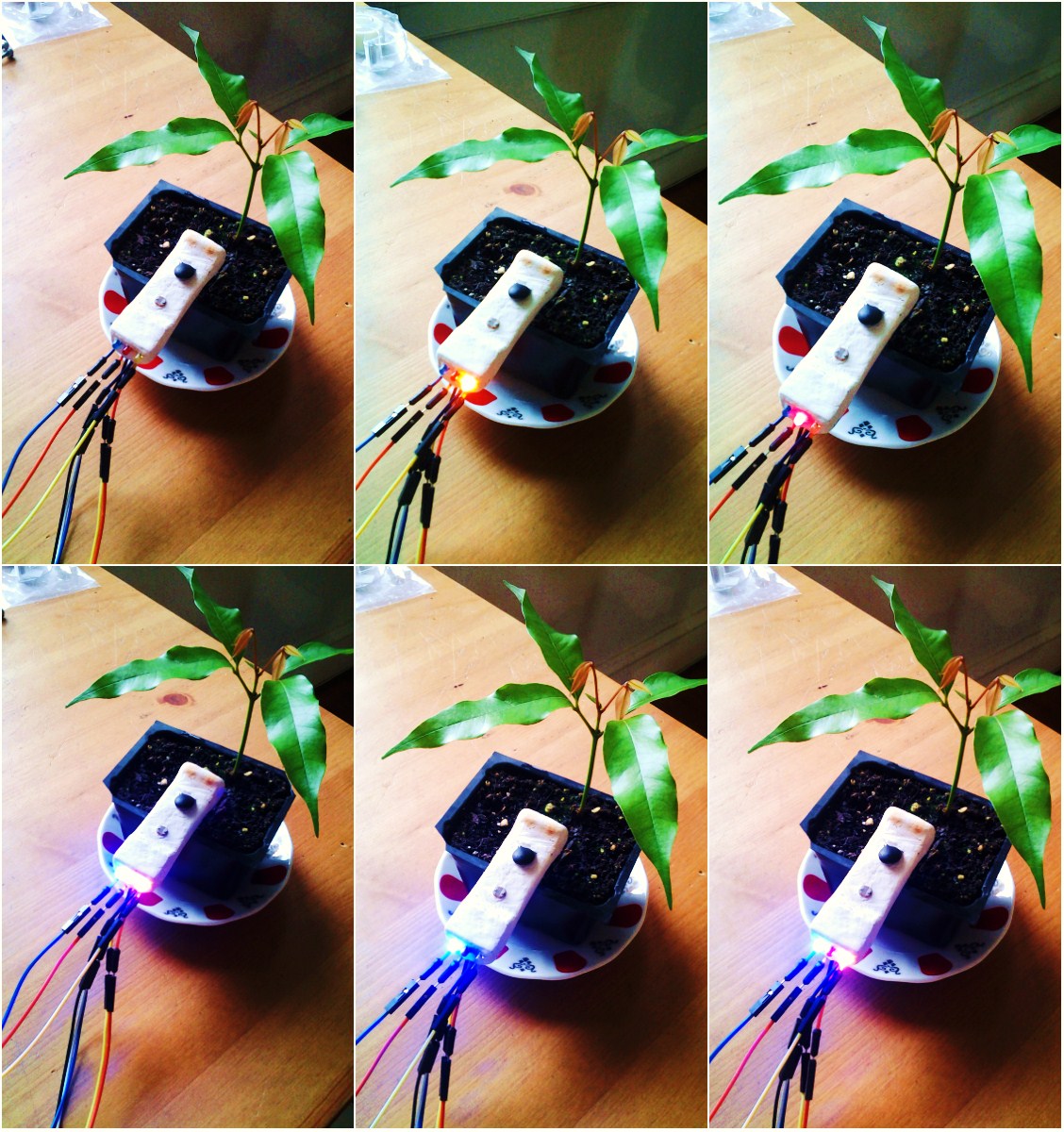 sensor_lights.jpg