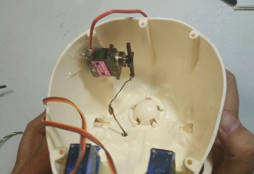 servo boca.jpg