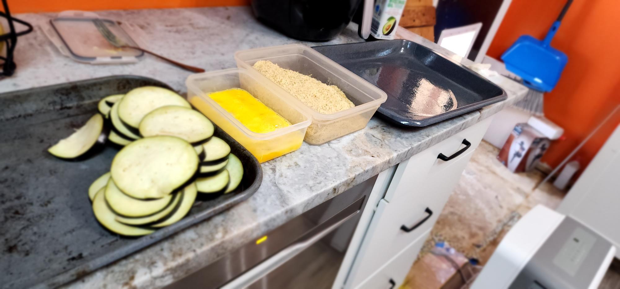 shallow dish set up.jpg