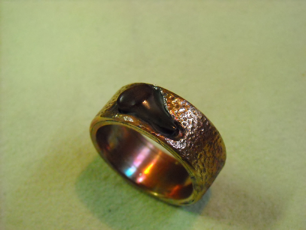 shark ring 002.JPG