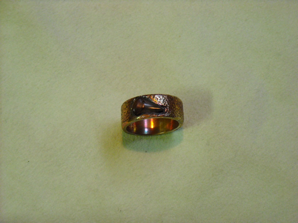 shark ring 003.JPG