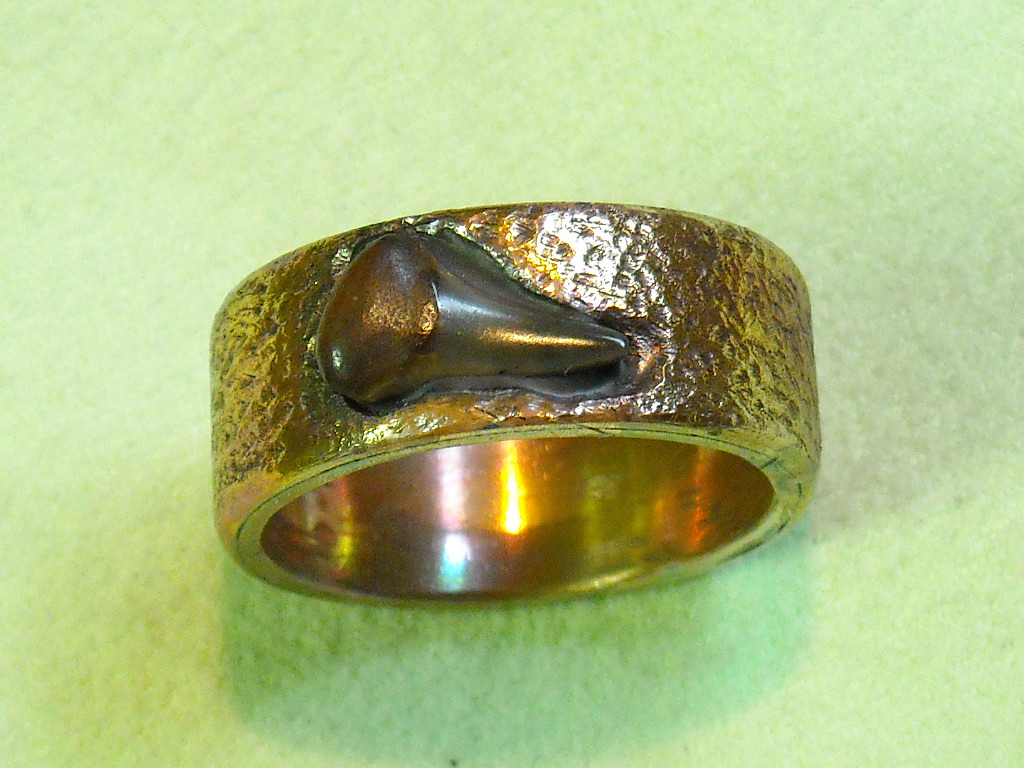 shark ring 004.JPG