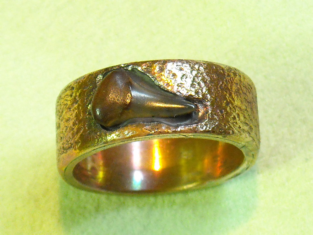 shark ring 005.JPG