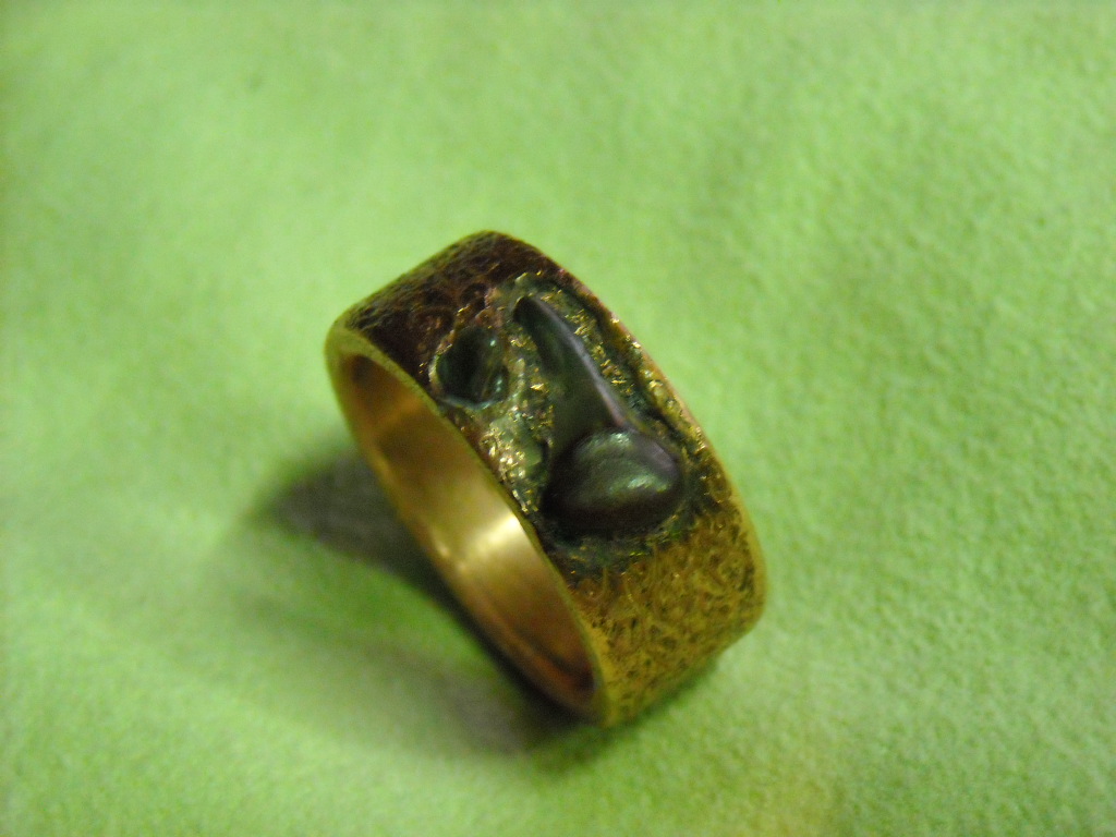 shark ring 011.JPG