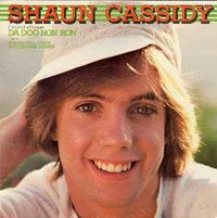 shaun-cassidy-3.jpg