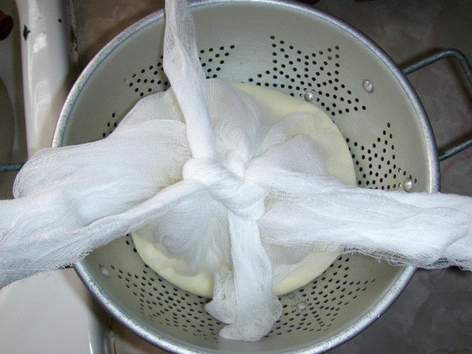 sheepcheese10.jpg