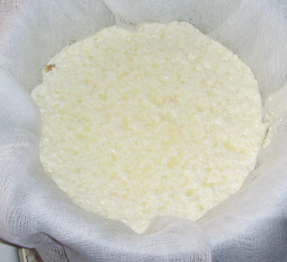 sheepcheese9.jpg