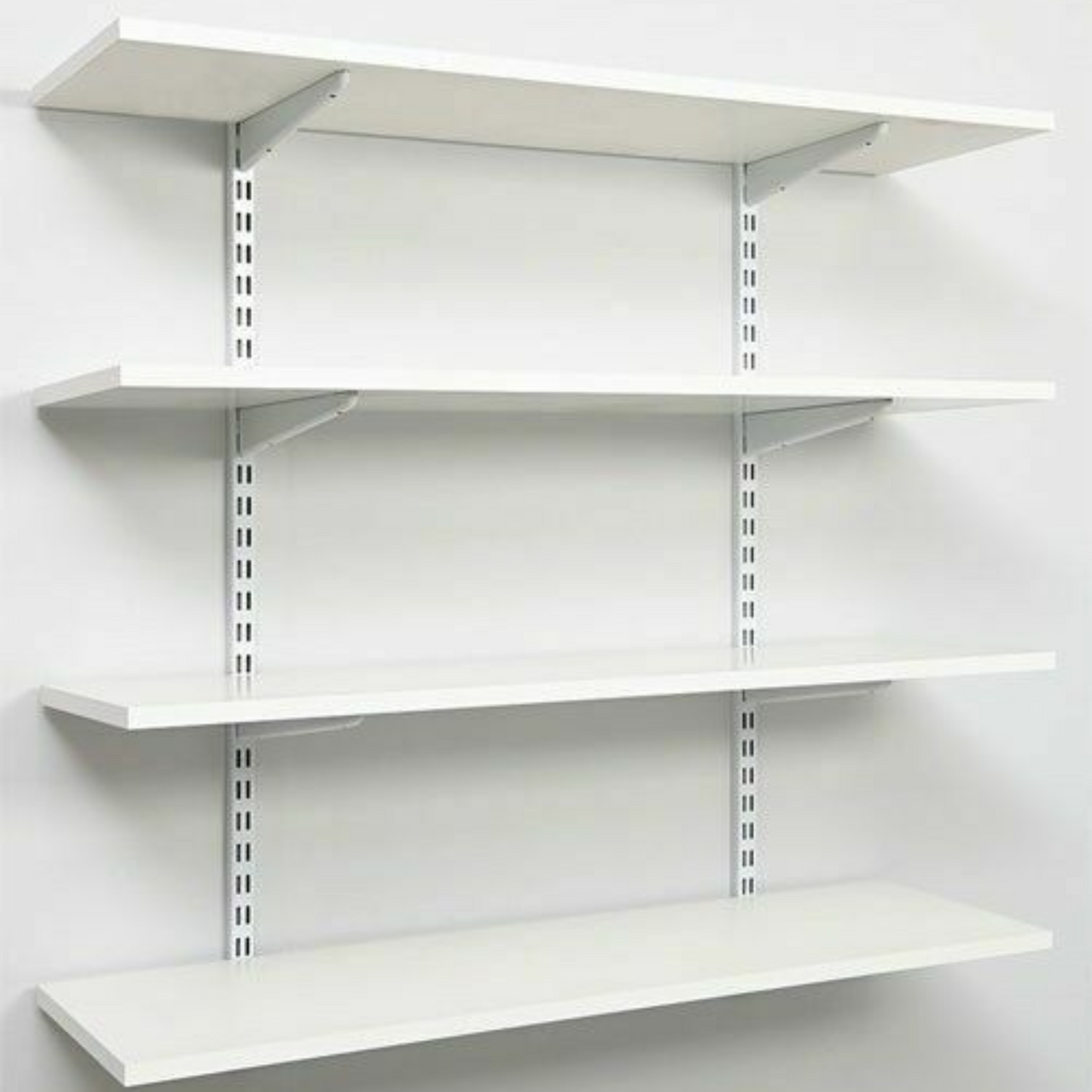 shelf 1.png