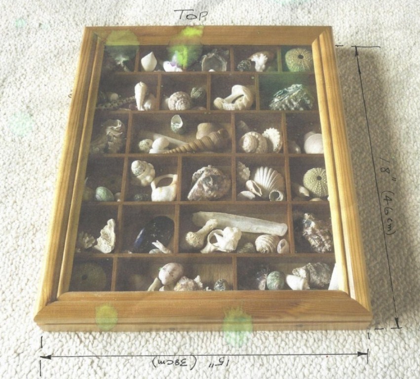 shell cabinet.jpg