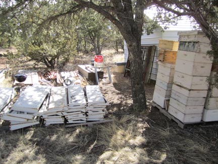 shelving and hives.jpg