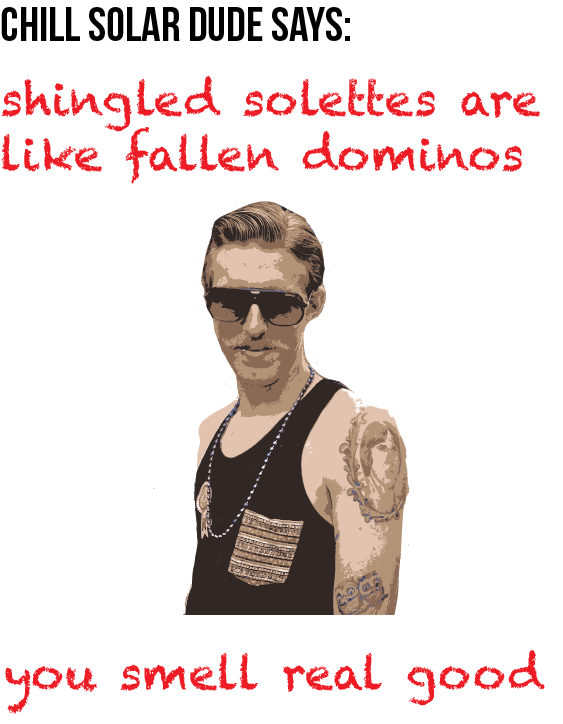 shingling dude.png