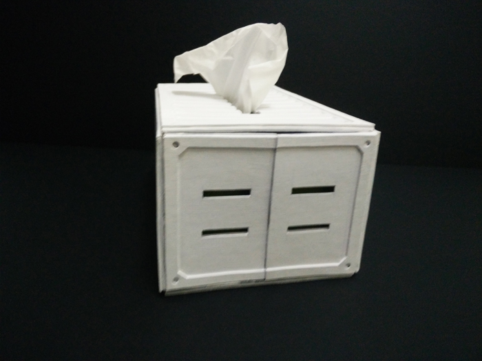 shipping_container_tissue_box_22.jpg