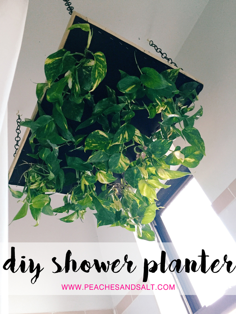 showerplanter.jpg