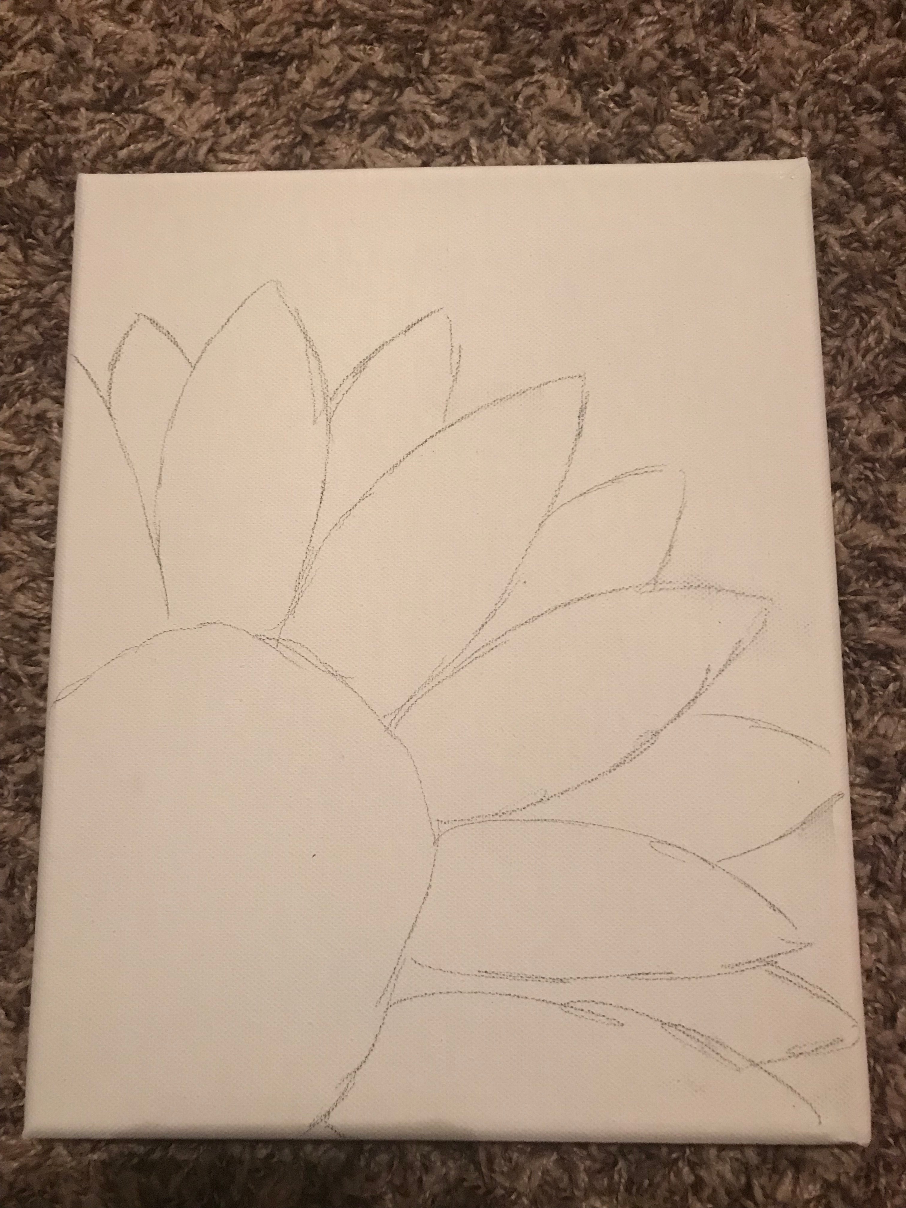 sketch of flower.jpg