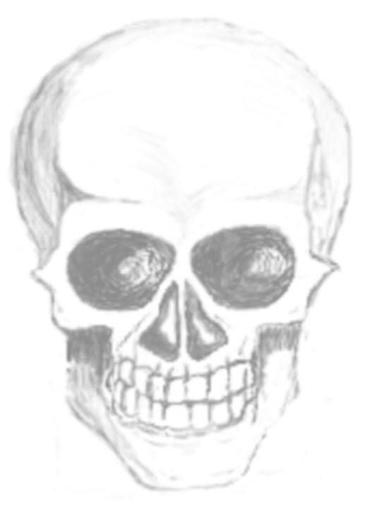 skull.jpg