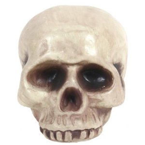 skull.jpg