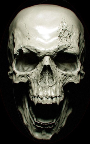 skull_500.jpg