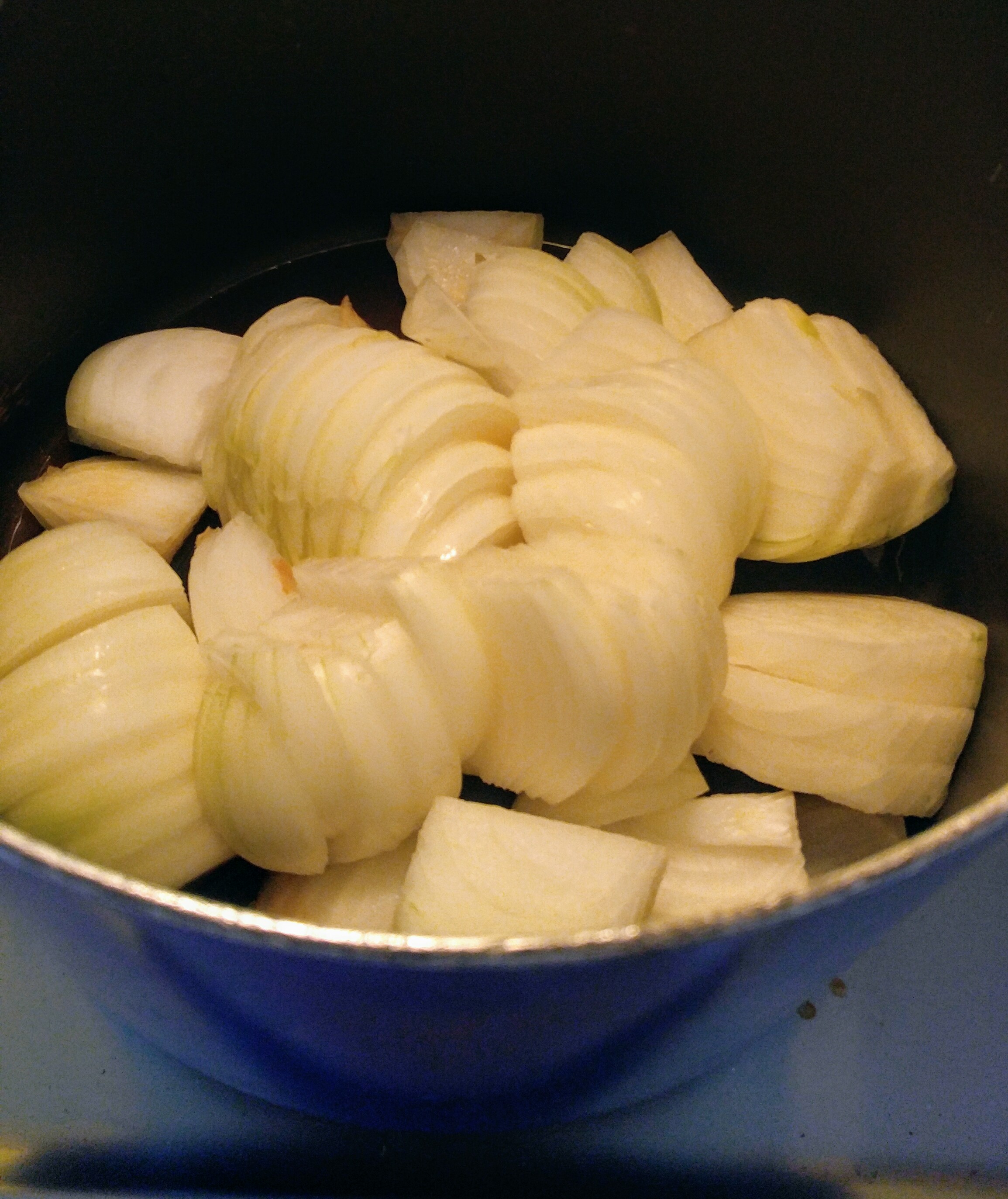 sliced onions in pot.jpg