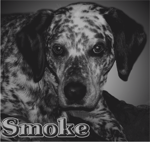 smoke_sim.bmp