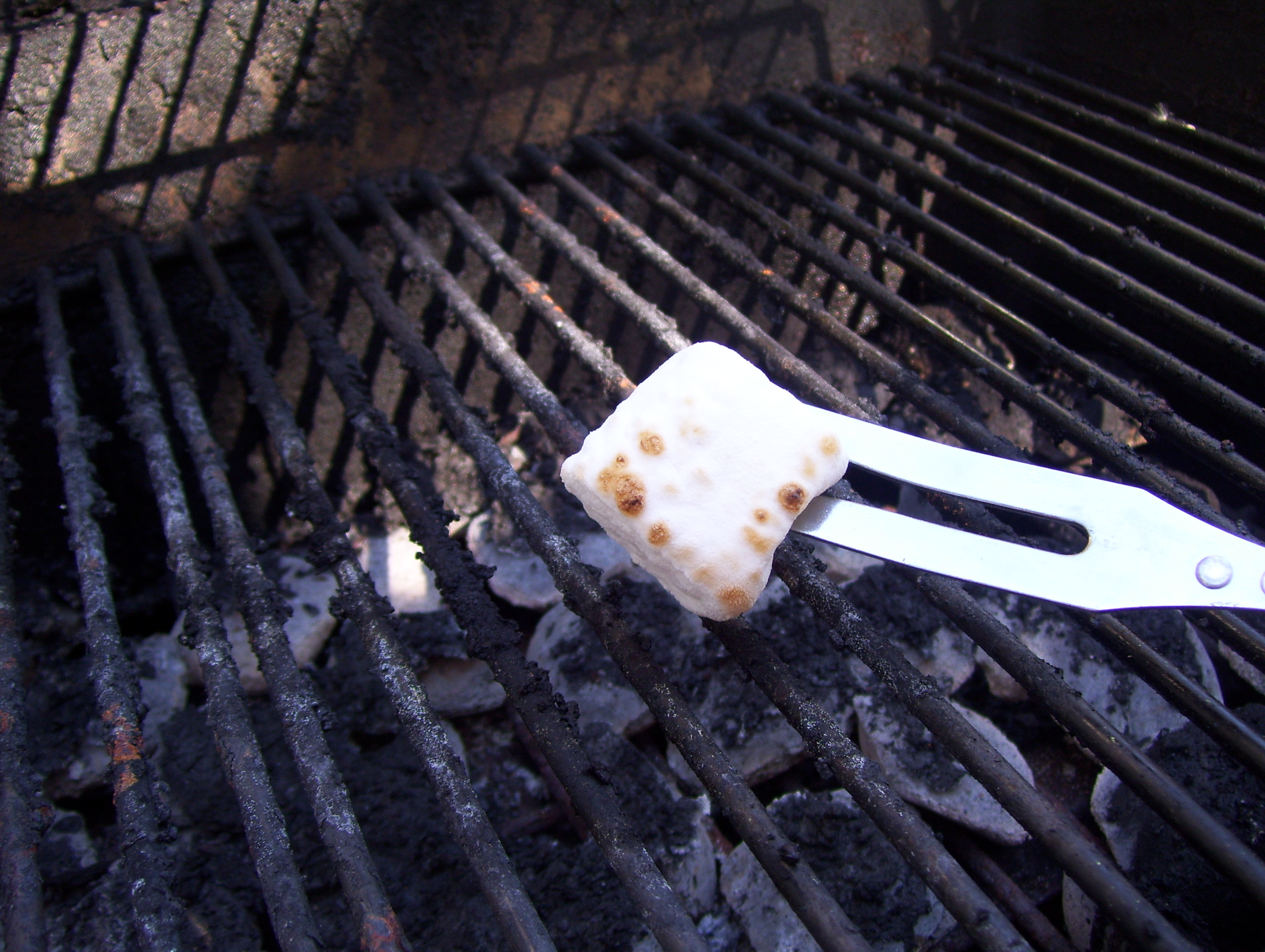 smores 017.jpg