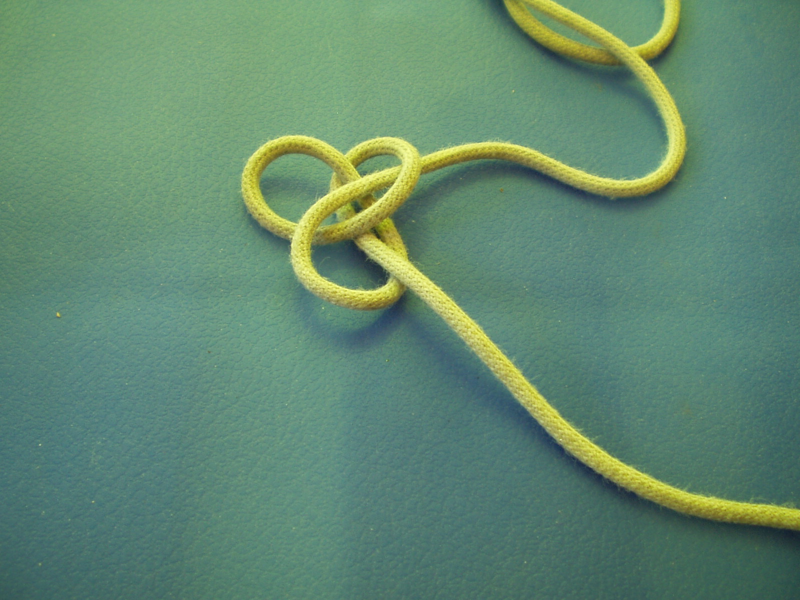 snake knot 006.JPG