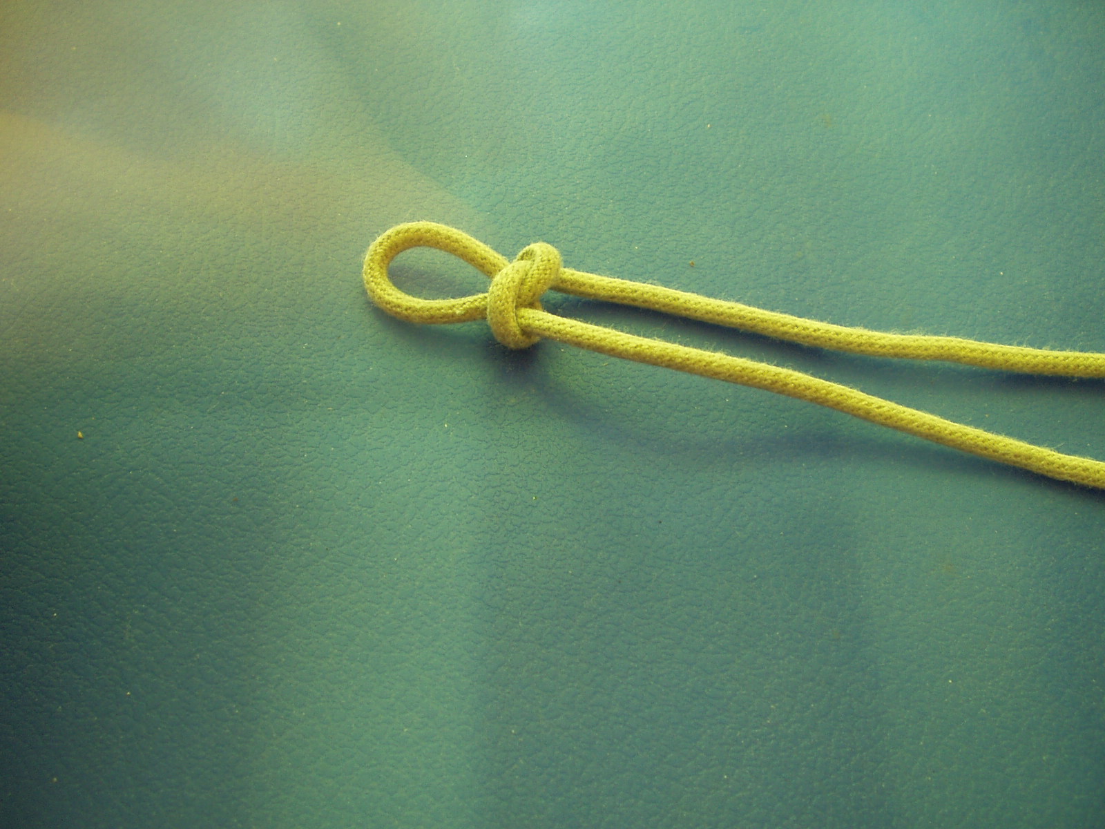 snake knot 007.JPG