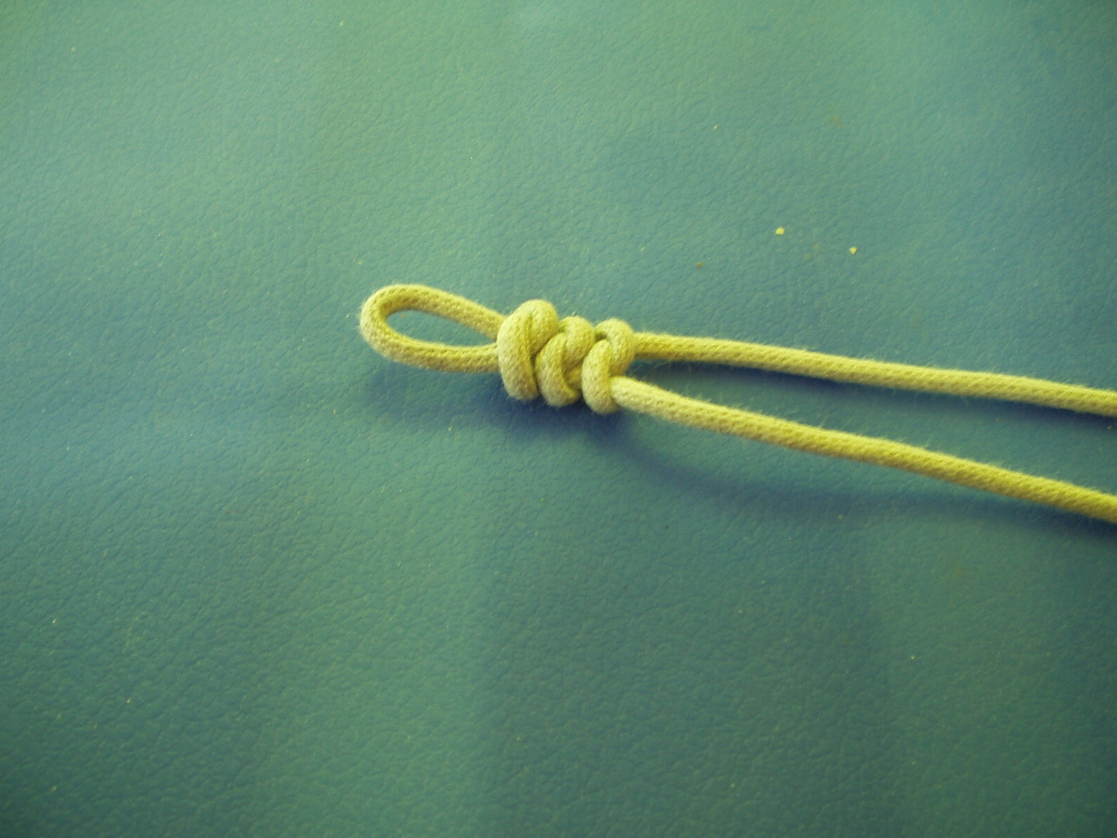 snake knot 009.JPG