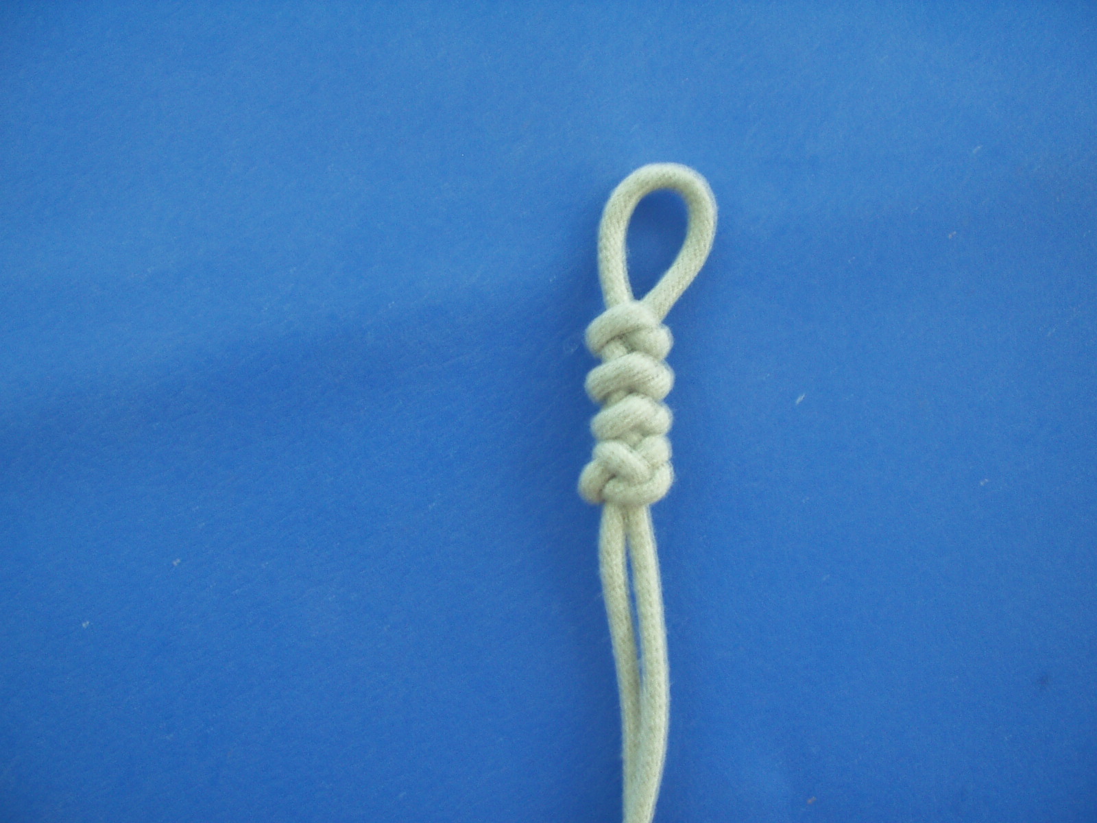 snake knot 017.JPG