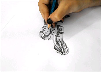 snake-5.jpg