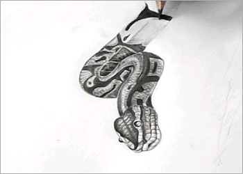 snake-6.jpg