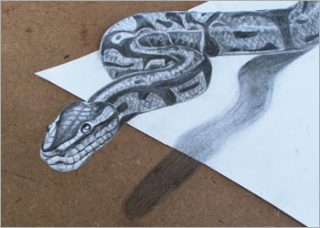 snake-8.jpg