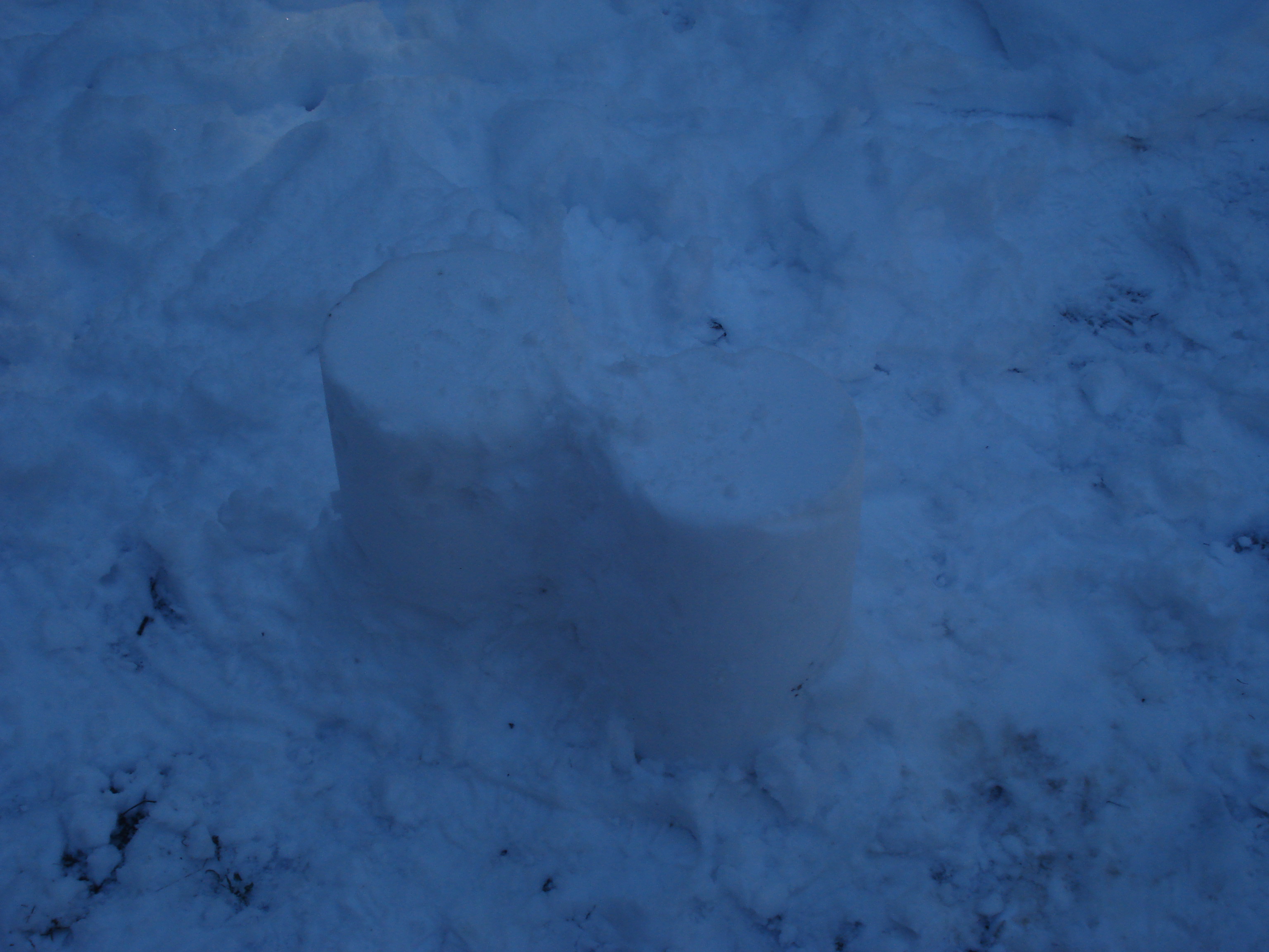 sno fort 048.jpg