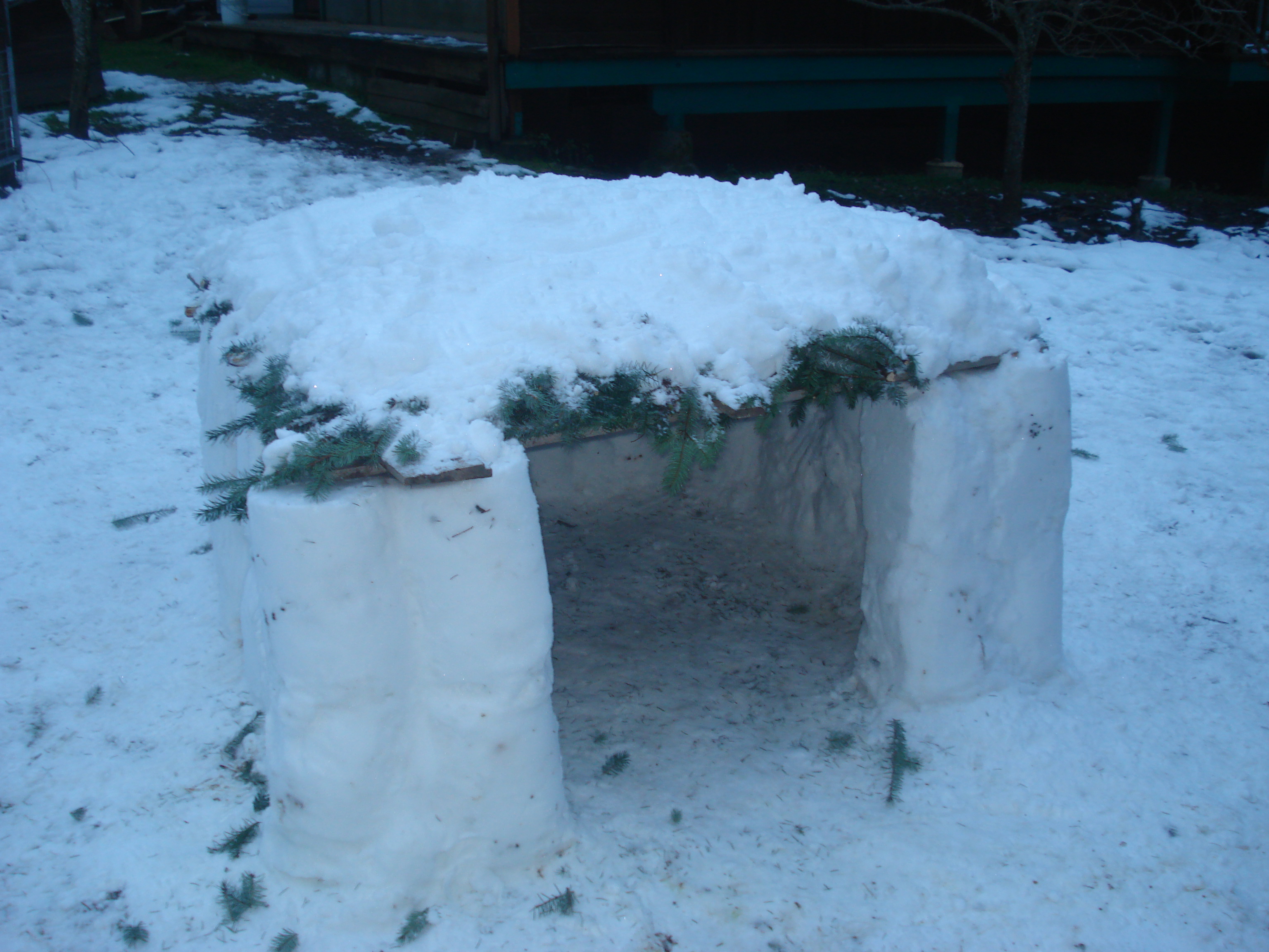 sno fort 082.jpg