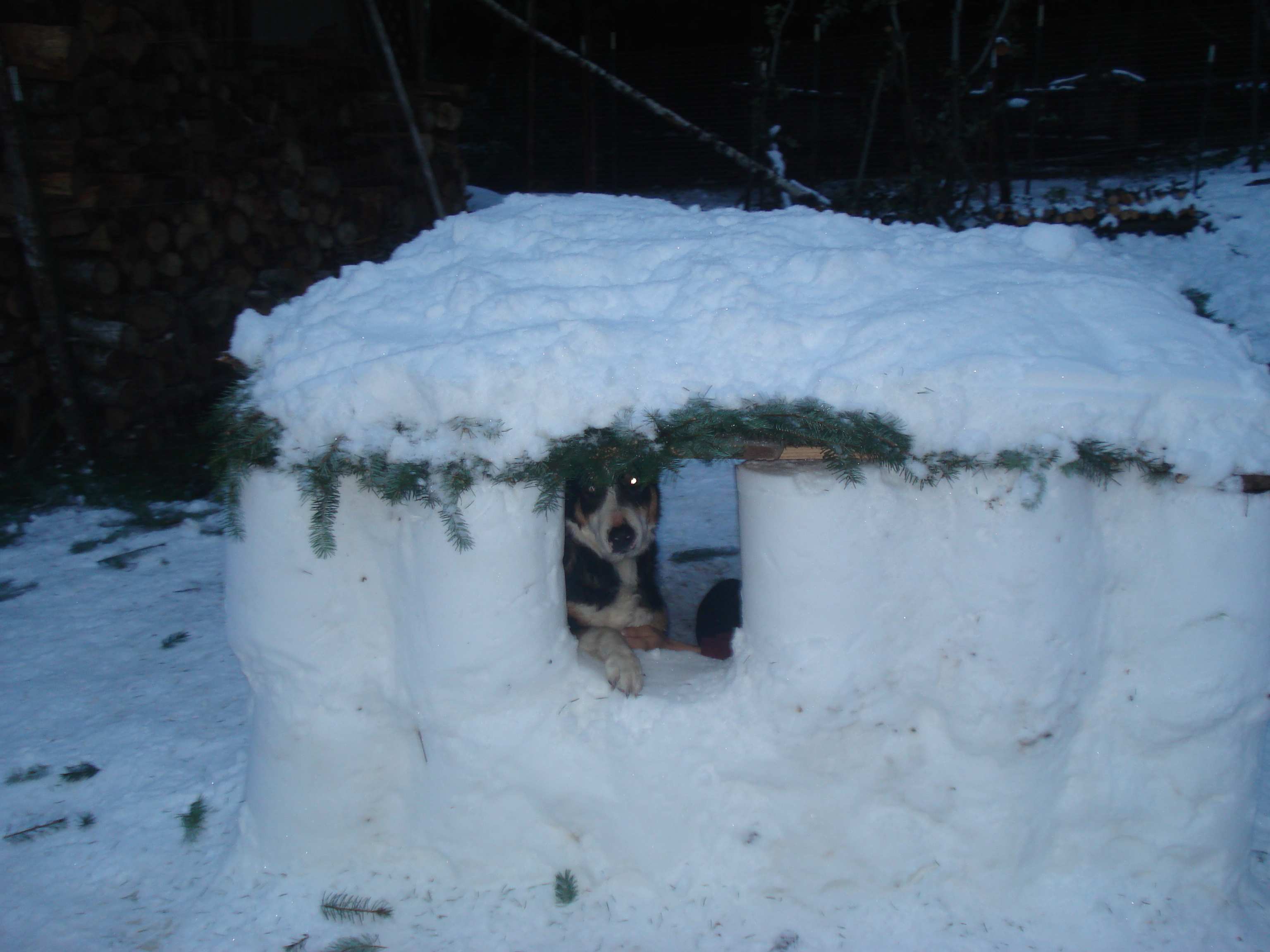 sno fort 092.jpg