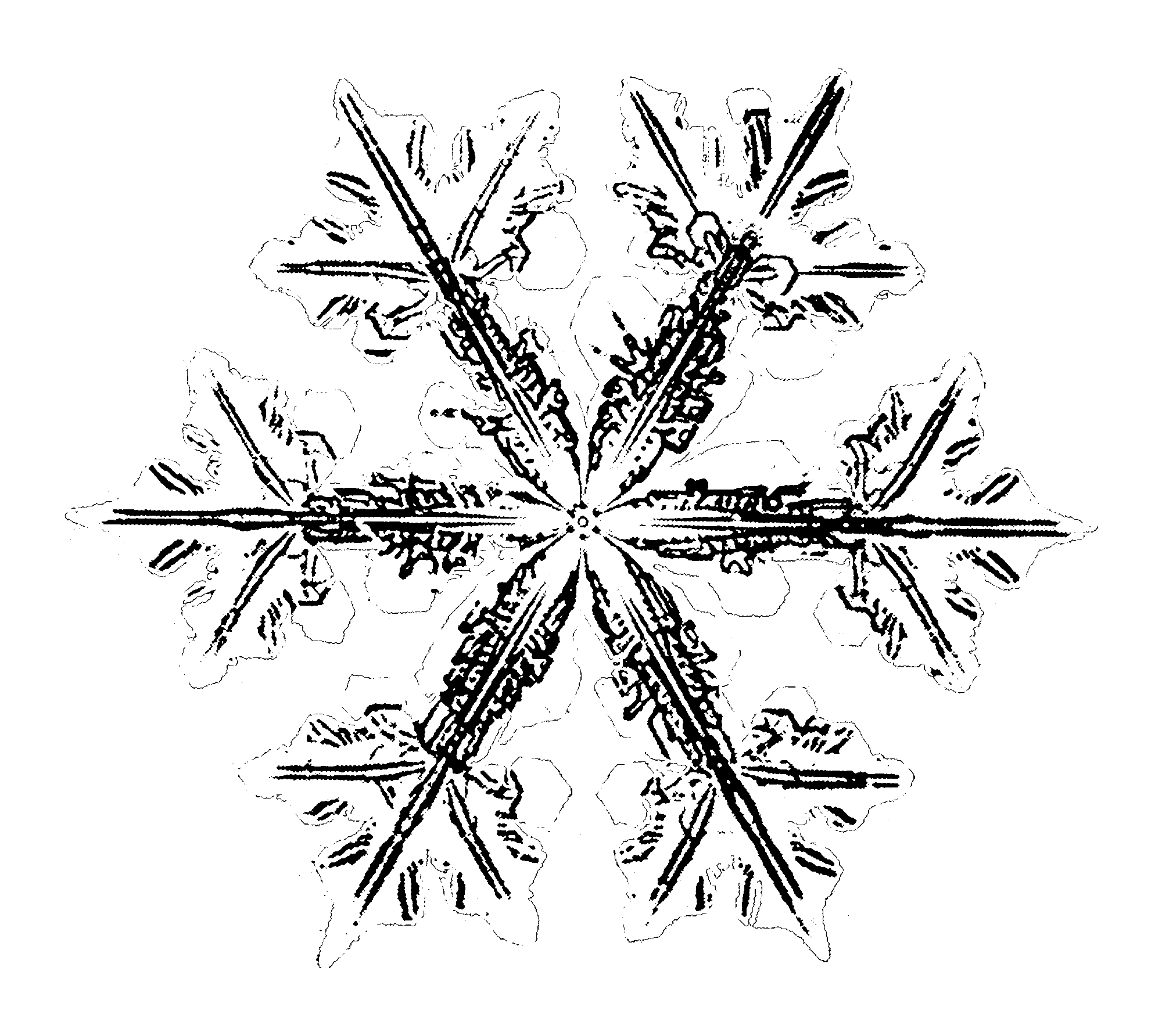 snowflake1.png