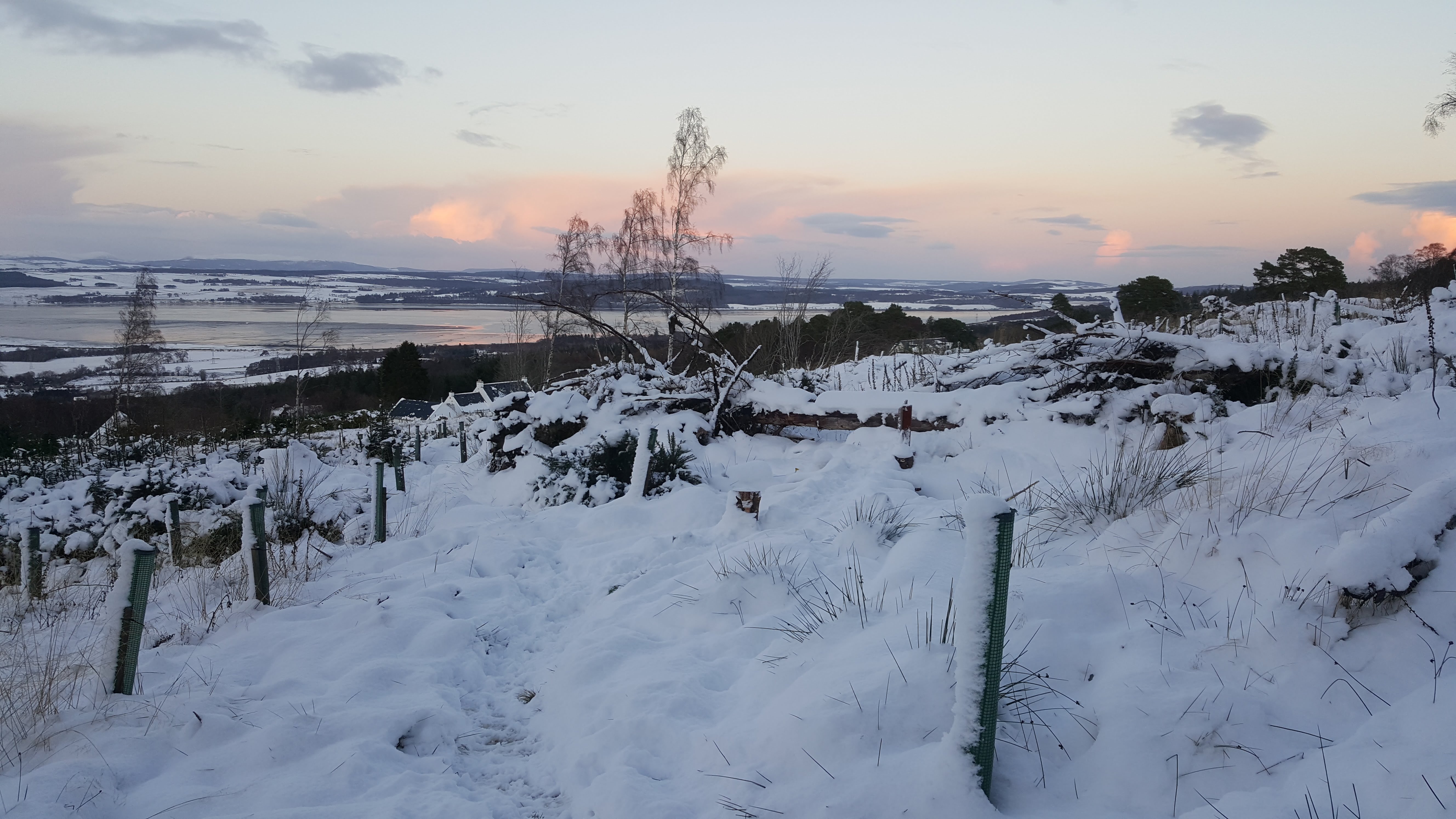 snowy bridge looking from end of track.jpg