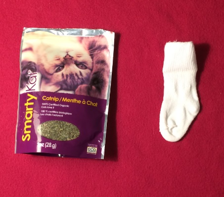 sock1.jpg